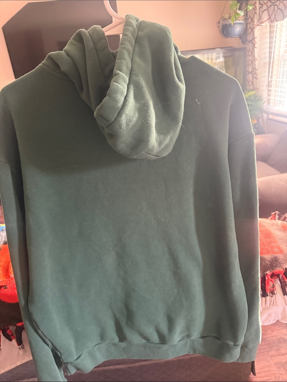 Men's hollister Dark Green Pullover Hoodie - Casual Everyday Wear